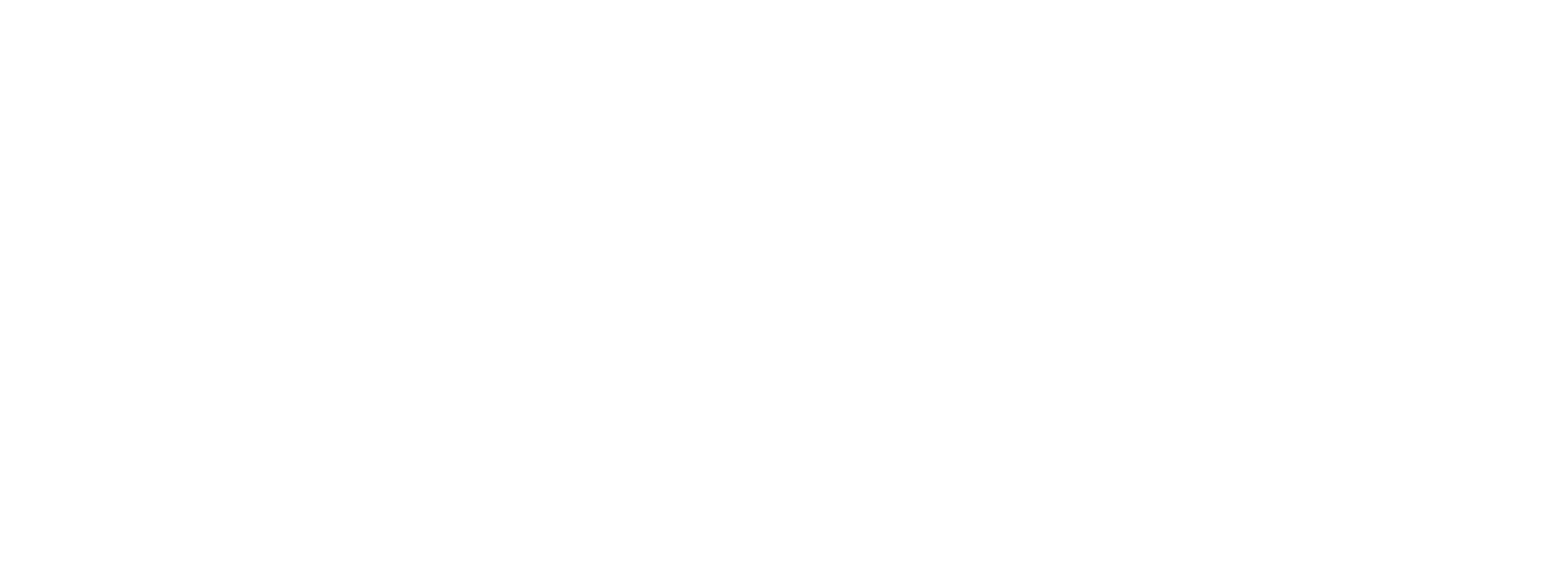RevTech FinTech
